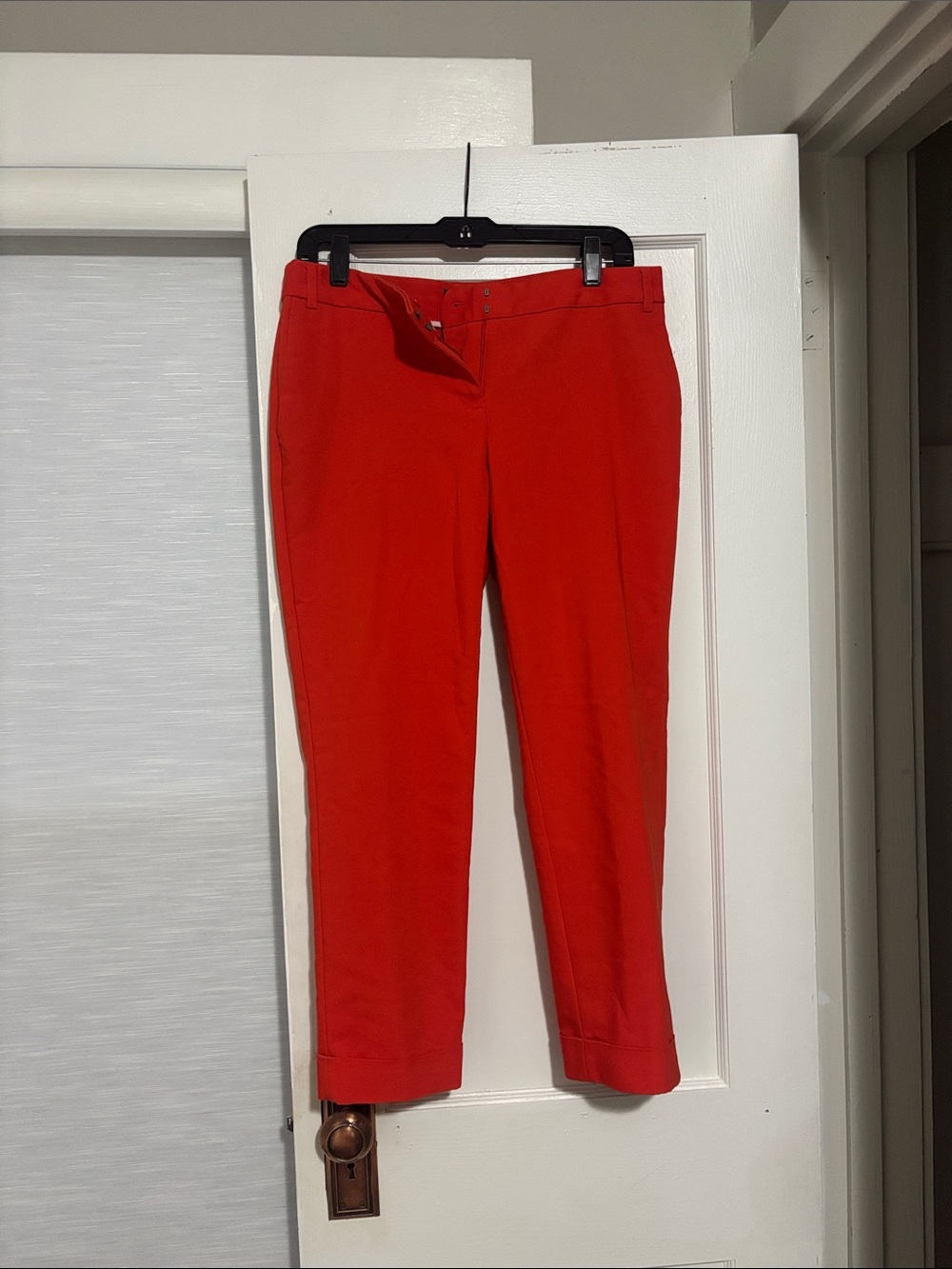Express Editor Pants